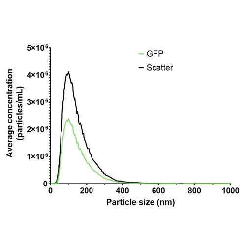 Vesi-Ref-CD63-GFP-Zetaview-Nottingham-University-August-2023-Graph