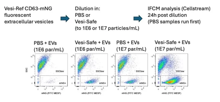 Vesi-Safe-Stability